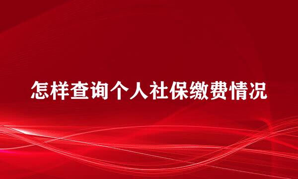 怎样查询个人社保缴费情况