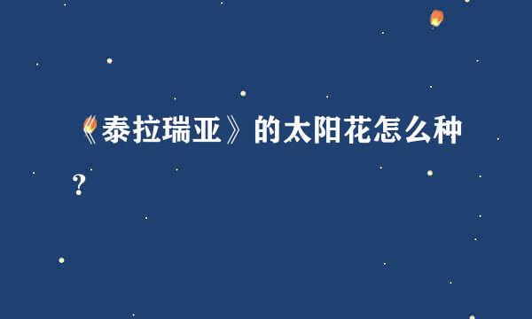 《泰拉瑞亚》的太阳花怎么种？