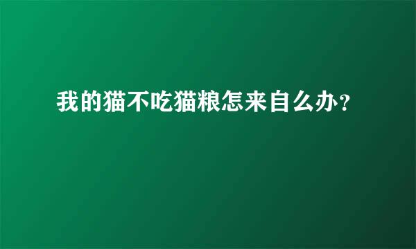 我的猫不吃猫粮怎来自么办？