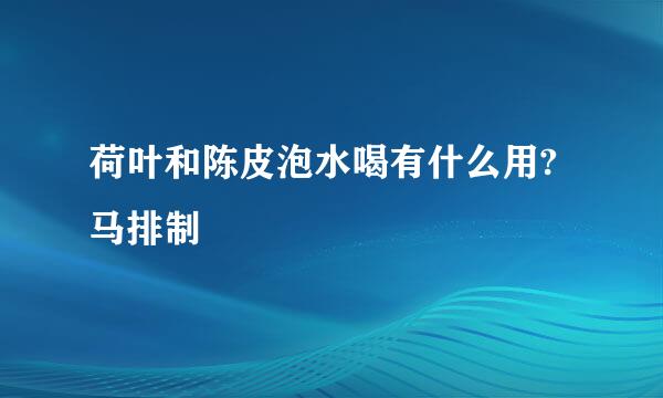 荷叶和陈皮泡水喝有什么用?马排制