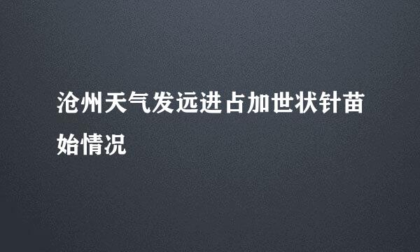 沧州天气发远进占加世状针苗始情况