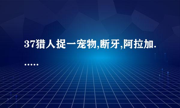 37猎人捉一宠物,断牙,阿拉加......