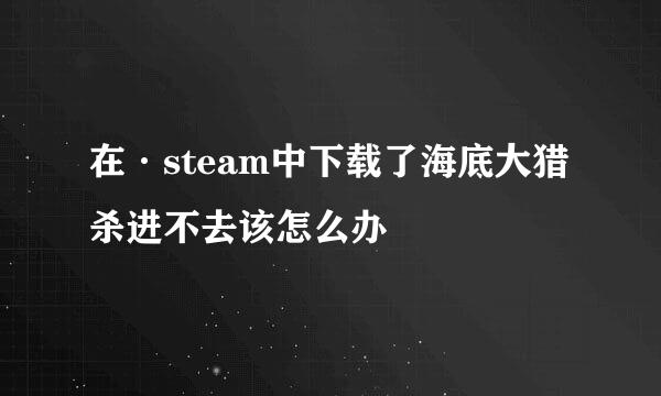 在·steam中下载了海底大猎杀进不去该怎么办