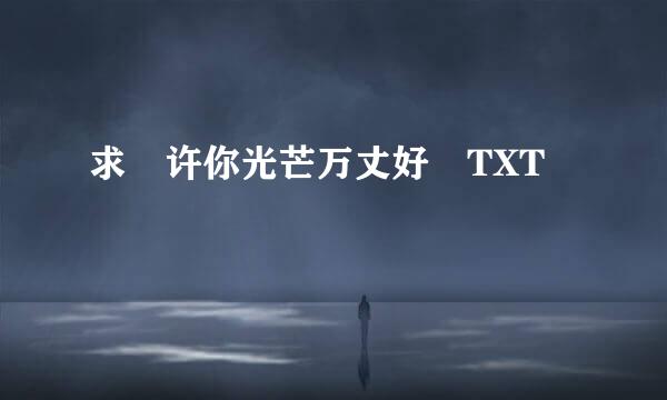 求 许你光芒万丈好 TXT