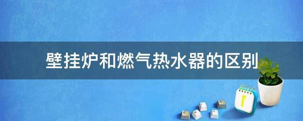 壁挂炉和燃气热水器的区别