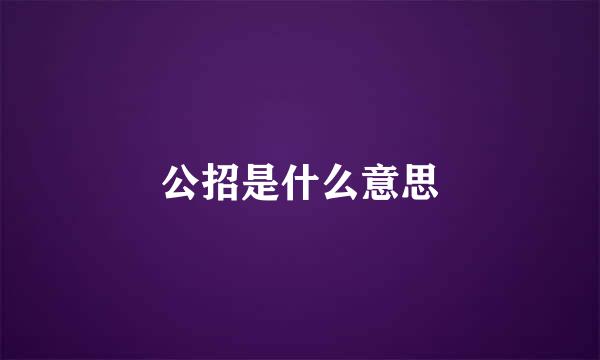 公招是什么意思