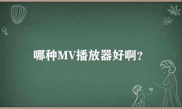 哪种MV播放器好啊？