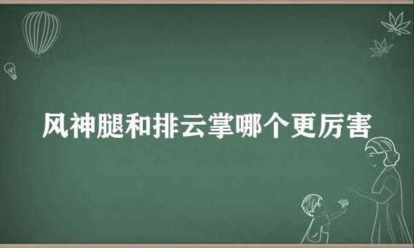 风神腿和排云掌哪个更厉害