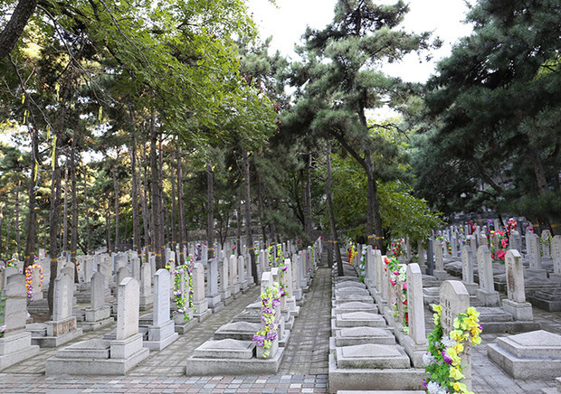 北京海淀金山陵园墓地价格