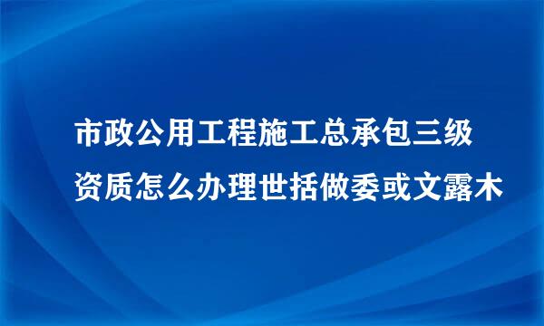 市政公用工程施工总承包三级资质怎么办理世括做委或文露木