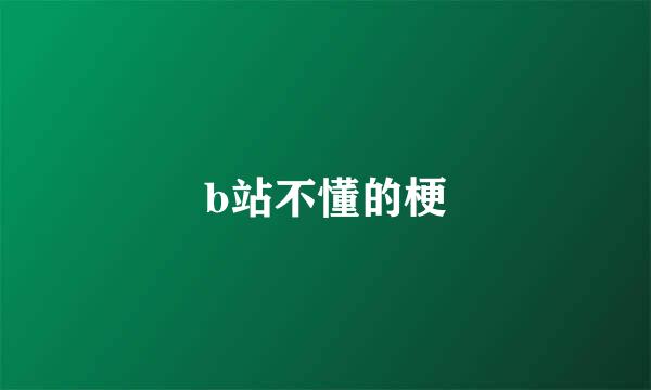 b站不懂的梗