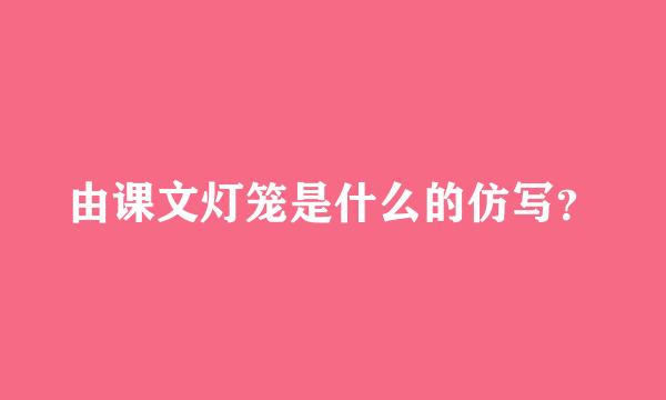 由课文灯笼是什么的仿写？