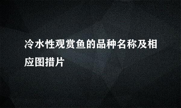 冷水性观赏鱼的品种名称及相应图措片