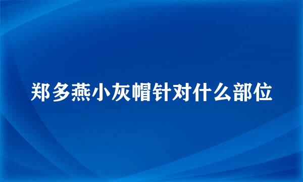 郑多燕小灰帽针对什么部位