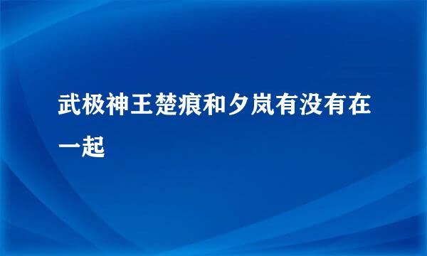 武极神王楚痕和夕岚有没有在一起