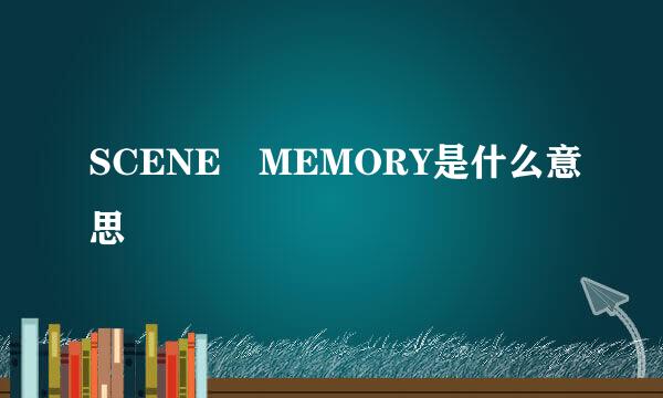 SCENE MEMORY是什么意思