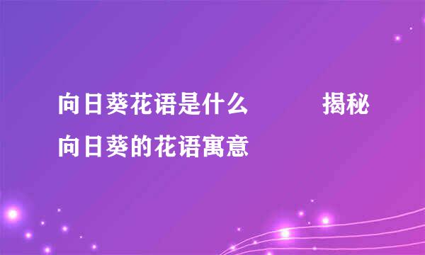 向日葵花语是什么   揭秘向日葵的花语寓意