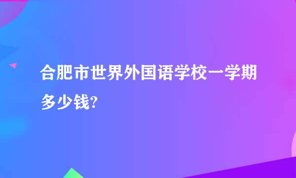 合肥市世界外国语学校一学期多少钱?