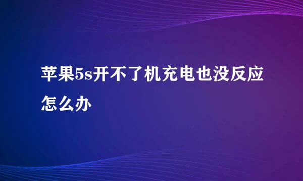 苹果5s开不了机充电也没反应怎么办