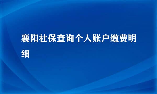 襄阳社保查询个人账户缴费明细