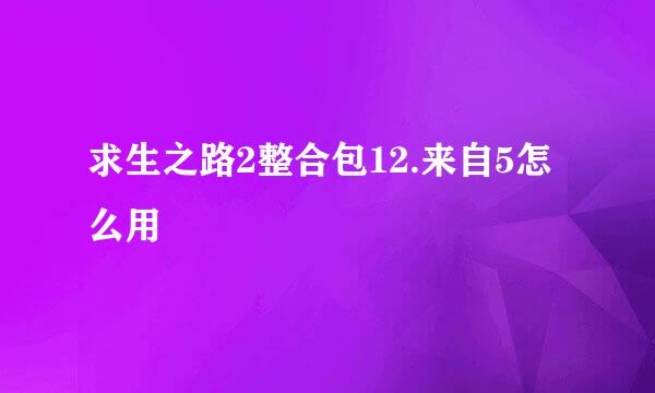 求生之路2整合包12.来自5怎么用