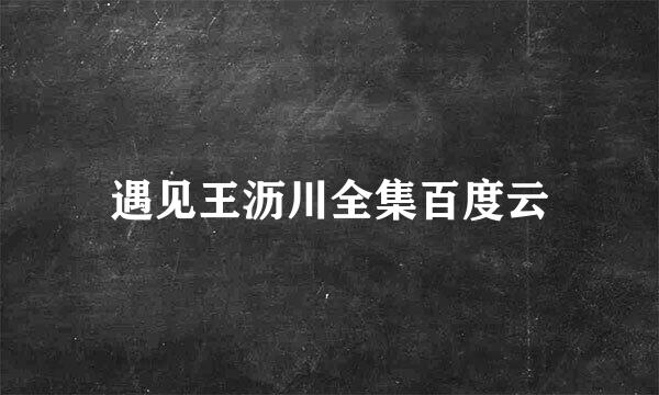 遇见王沥川全集百度云