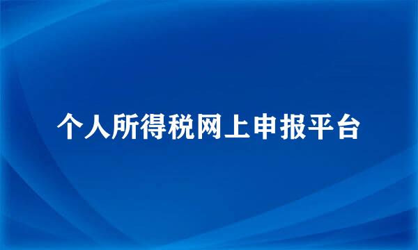 个人所得税网上申报平台