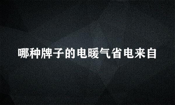 哪种牌子的电暖气省电来自