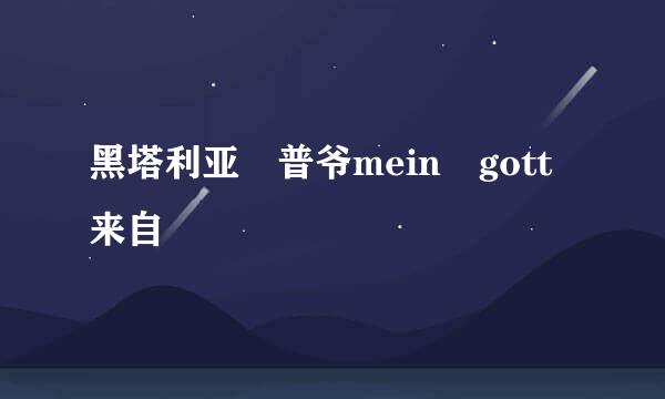 黑塔利亚 普爷mein gott来自