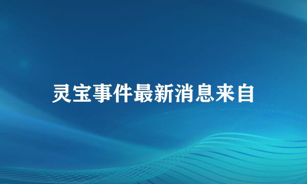 灵宝事件最新消息来自