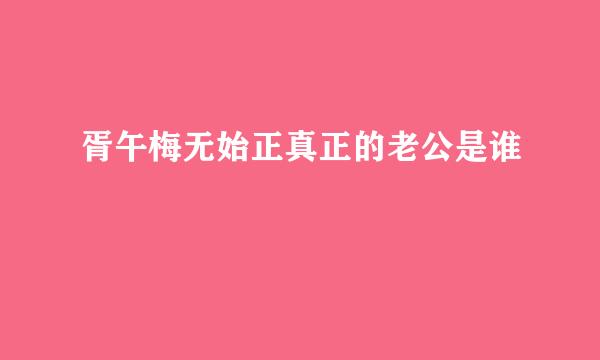 胥午梅无始正真正的老公是谁