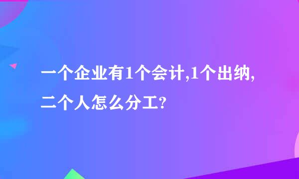 一个企业有1个会计,1个出纳,二个人怎么分工?