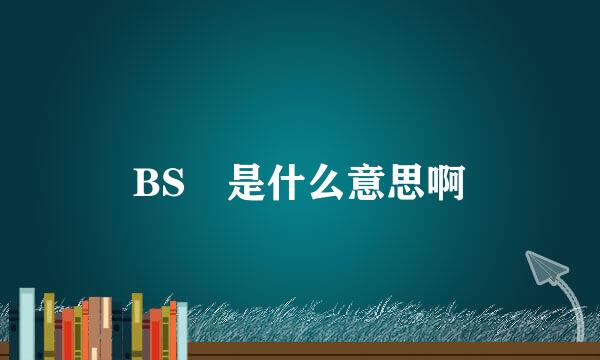 BS 是什么意思啊