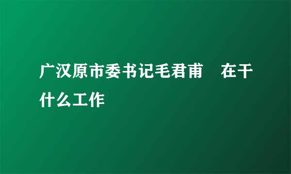 广汉原市委书记毛君甫現在干什么工作