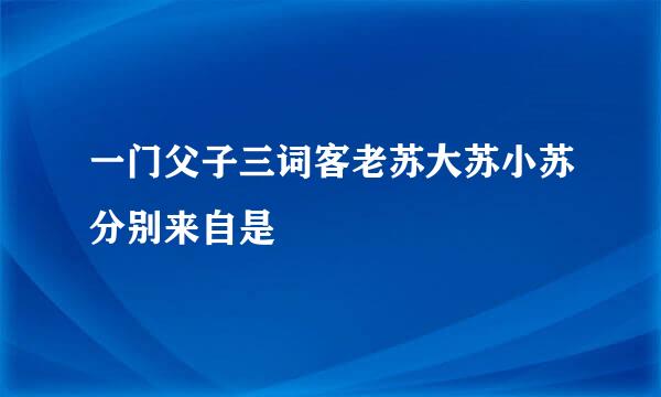 一门父子三词客老苏大苏小苏分别来自是