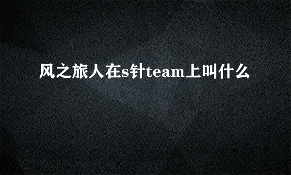 风之旅人在s针team上叫什么