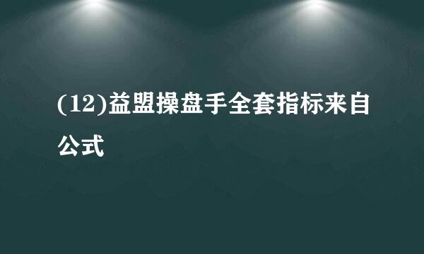 (12)益盟操盘手全套指标来自公式