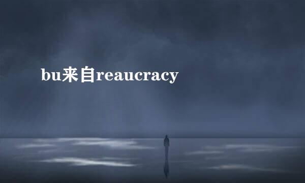 bu来自reaucracy