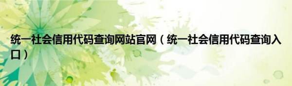 统一社会信用代码查询网站官网（统一社会信用代码查询入口）