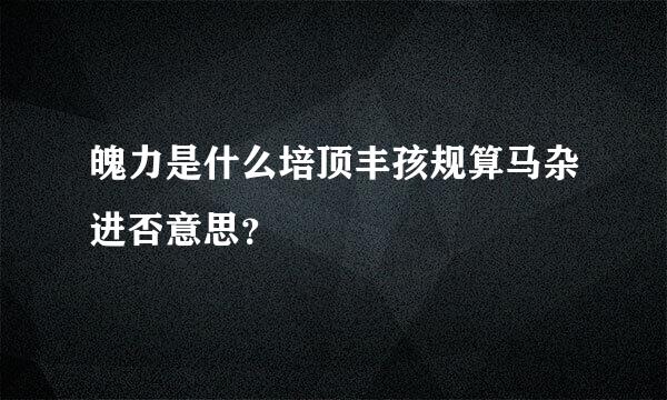 魄力是什么培顶丰孩规算马杂进否意思？