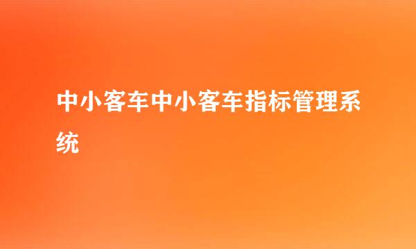 中小客车中小客车指标管理系统