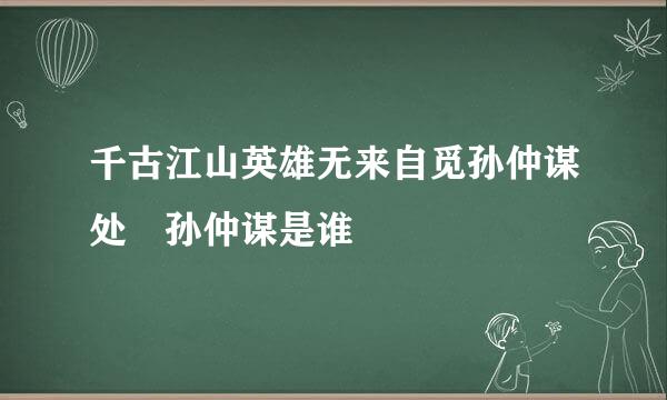 千古江山英雄无来自觅孙仲谋处 孙仲谋是谁