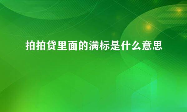 拍拍贷里面的满标是什么意思