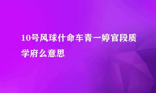 10号风球什命车青一婷官段质学府么意思