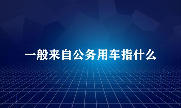 一般来自公务用车指什么