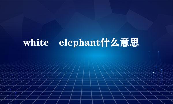 white elephant什么意思