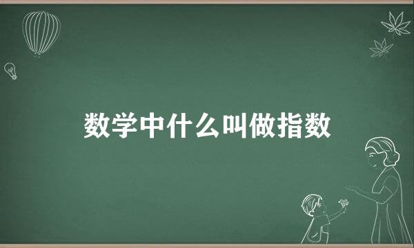 数学中什么叫做指数