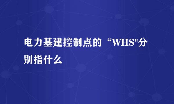 电力基建控制点的“WHS