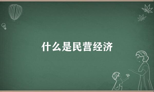 什么是民营经济