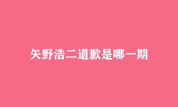 矢野浩二道歉是哪一期